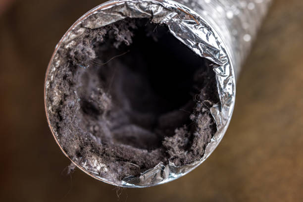 Best Affordable Duct Cleaning Services  in Bethesda, OH